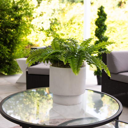 Nearly Natural 19in UV resistant artificial Boston fern set of 2 in white pots on a table on Tampa Home & Garden Store