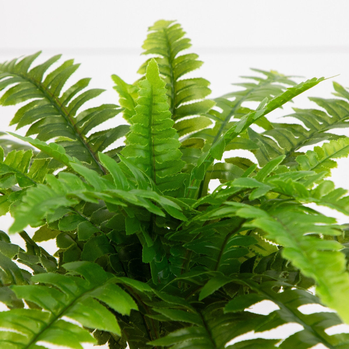 Nearly Natural 19in UV resistant artificial Boston fern set of 2 indoor outdoor bush on Tampa Home & Garden Store