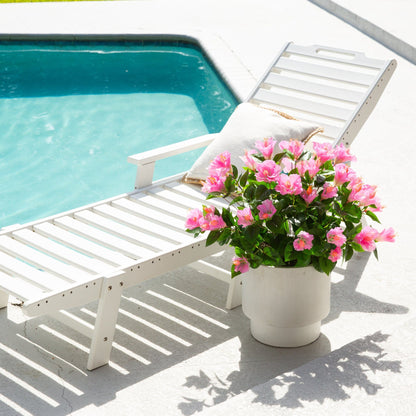 19in UV-resistant artificial hibiscus bush set of 3 with pink flowers in white pot poolside on Tampa Home & Garden Store