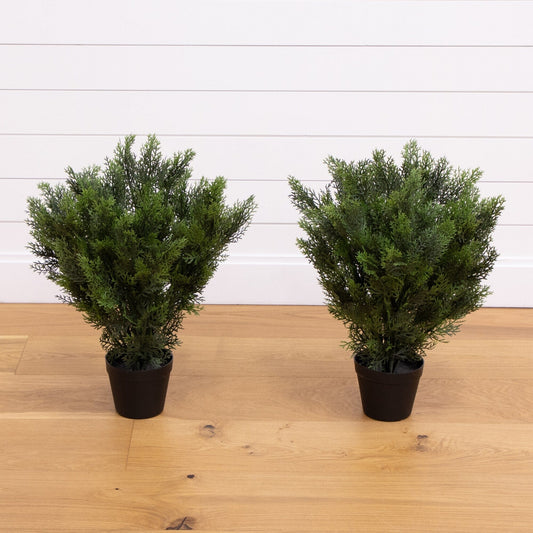 2 ft artificial cedar bush set of 2 in black pots Nearly Natural indoor/outdoor greenery on Tampa Home & Garden Store