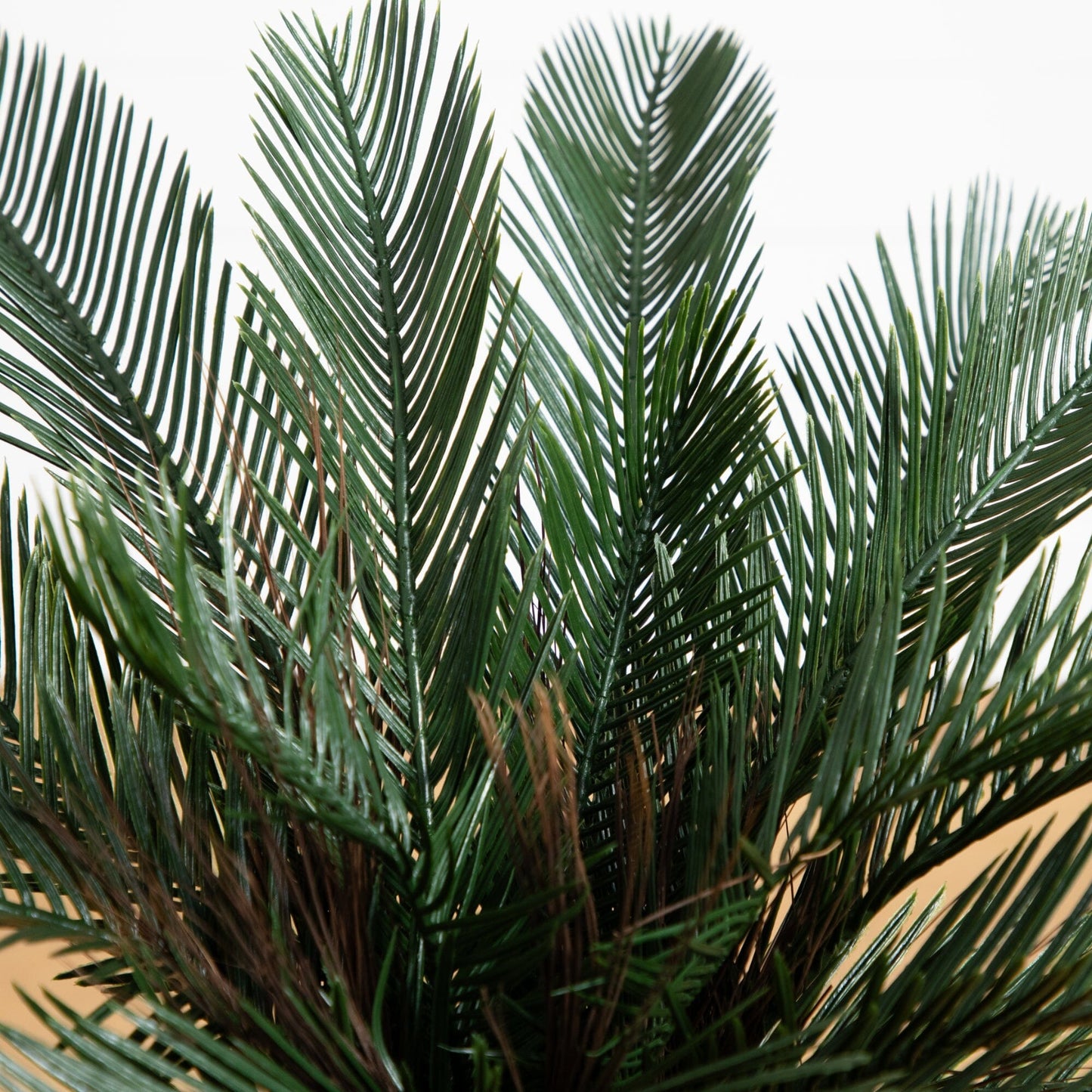 2’ Cycas Artificial Tree UV Resistant Small Indoor/Outdoor