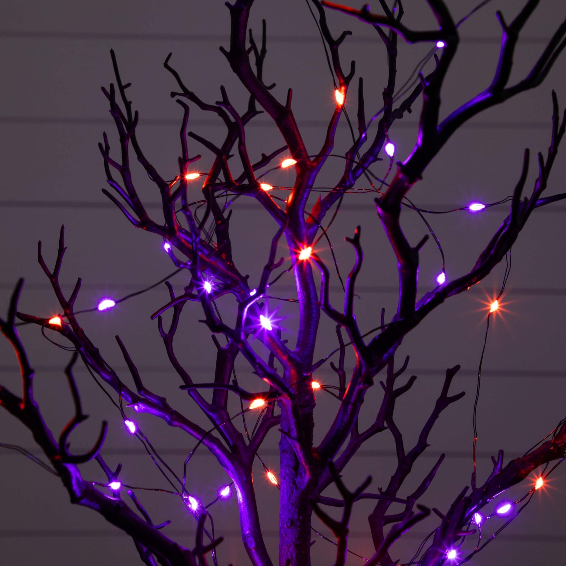 2' Pre-Lit Halloween Black Spooky Twig Tree with 60 Orange & Purple Copper-Wire LED Lights on Tampa Home & Garden Store