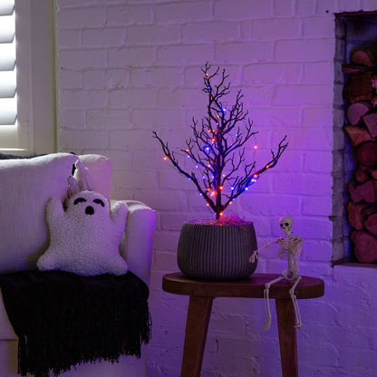 2' black spooky twig tree with orange and purple copper-wire LEDs in a brown ribbed pot on Tampa Home & Garden Store