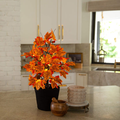 2' Pre-Lit Autumn Maple Tree with orange leaves, acorns & pinecones, 18 warm white LEDs on Tampa Home & Garden Store