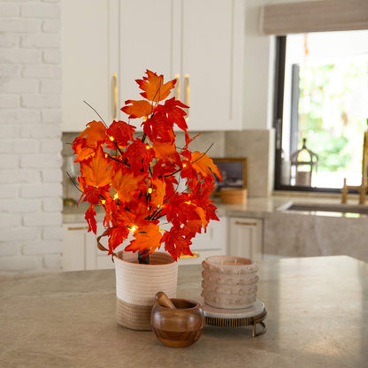 Autumn Maple Pre-Lit Tree, 2' with 24 warm white LEDs in maple leaves, detachable basket base on Tampa Home & Garden Store