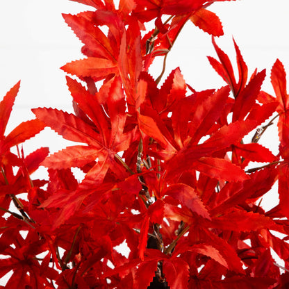 2' Pre-Lit Red Autumn Maple Artificial Tree with 50 Warm White LEDs and Detachable Base on Tampa Home & Garden Store