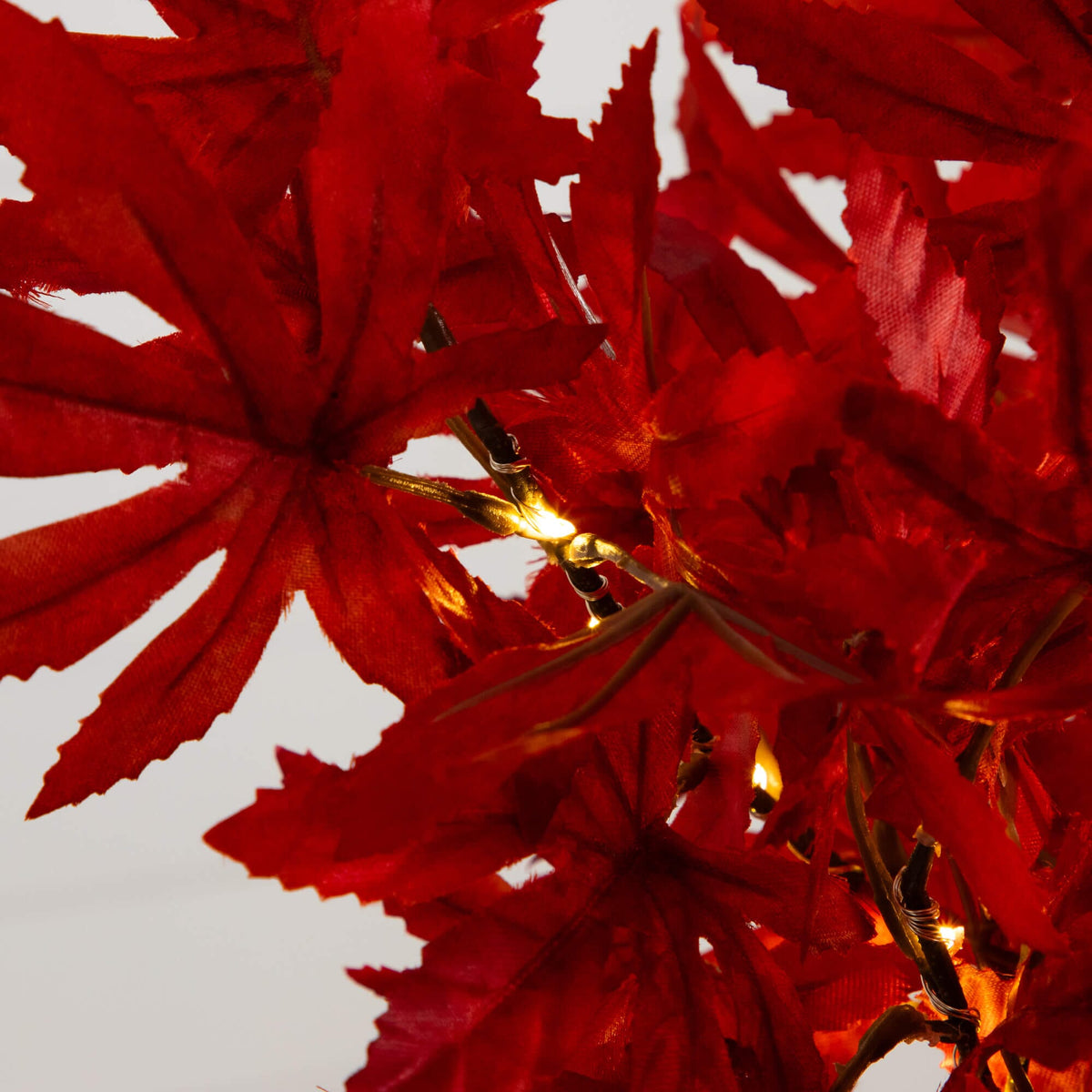 2' Pre-Lit Red Autumn Maple Artificial Tree with 50 warm white LEDs on Tampa Home & Garden Store