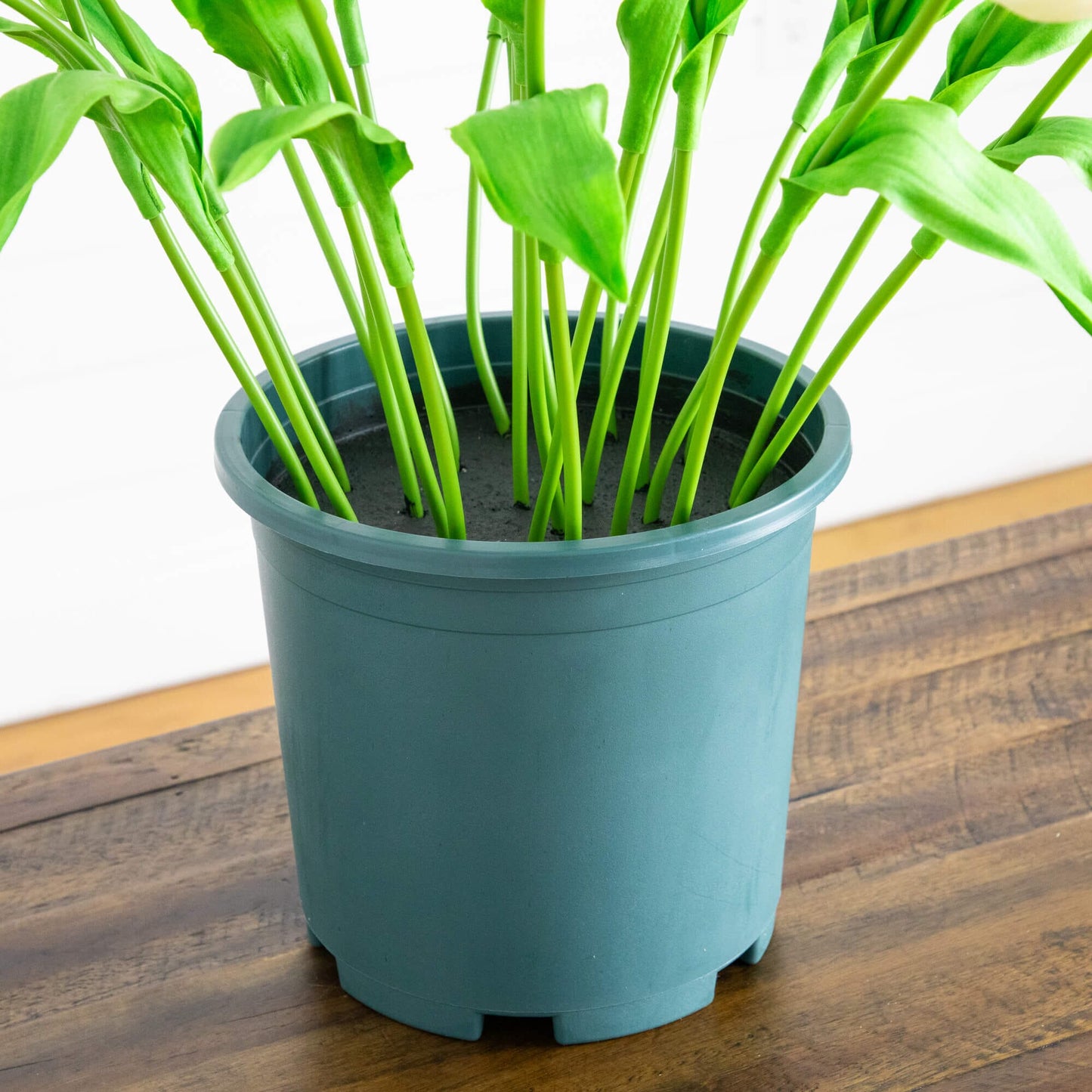 2' UV resistant artificial tulip plant in teal pot with bright green stems and leaves on Tampa Home & Garden Store