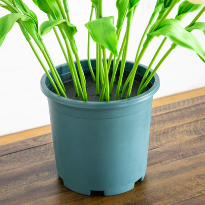 2' UV resistant artificial tulip plant in teal pot with bright green stems and leaves on Tampa Home & Garden Store