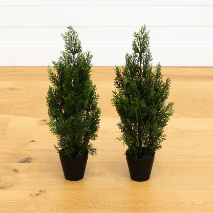 Two Mini Cedar Pine Trees For Indoor Or Outdoor