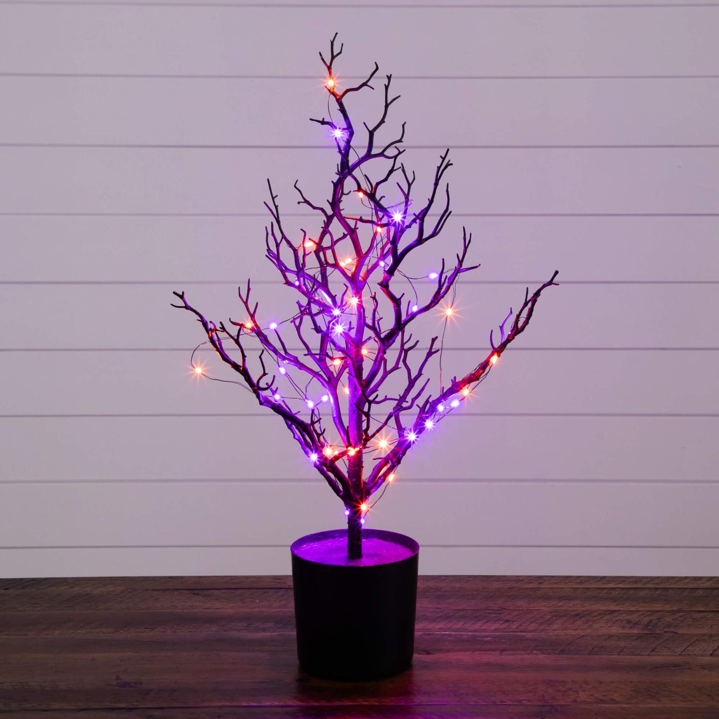 2' Pre-Lit Halloween Twig Tree in black with orange and purple copper-wire LEDs in a pot on Tampa Home & Garden Store
