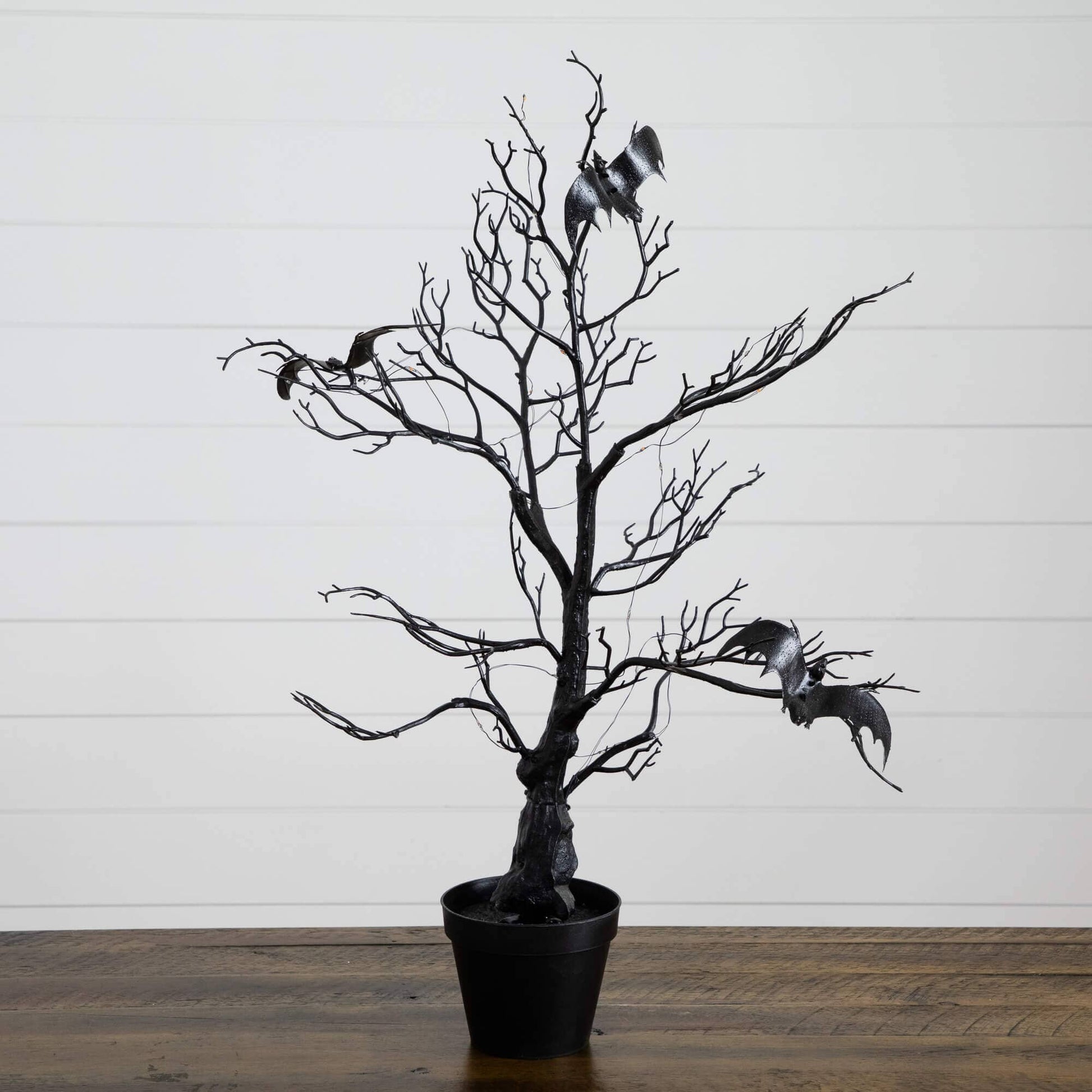 2ft black Halloween twig tree with bats in a black pot 40 orange/purple LED lights on Tampa Home & Garden Store