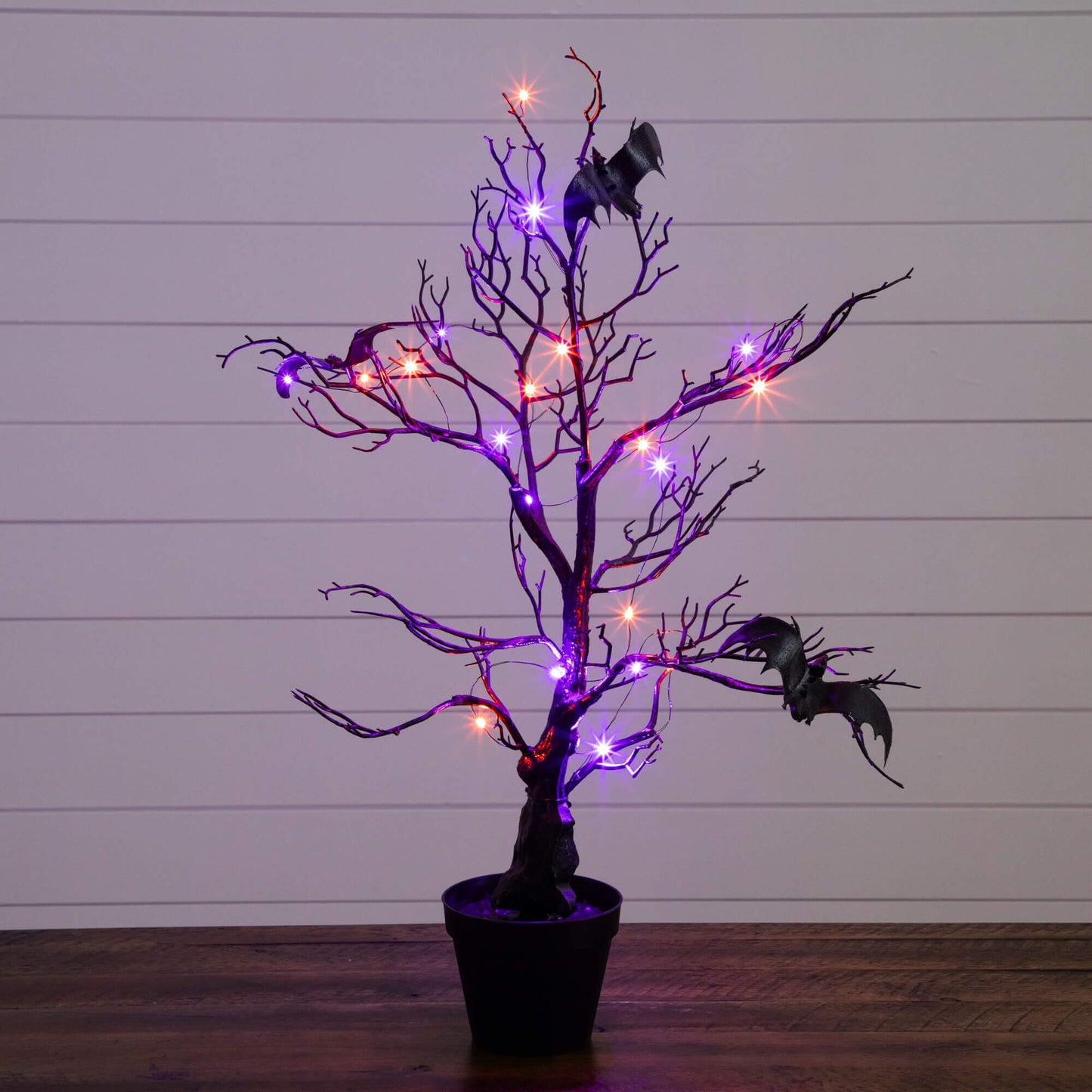 2' Nearly Natural Halloween black spooky twig tree with bats and 40 orange & purple LEDs in a pot on Tampa Home & Garden Store
