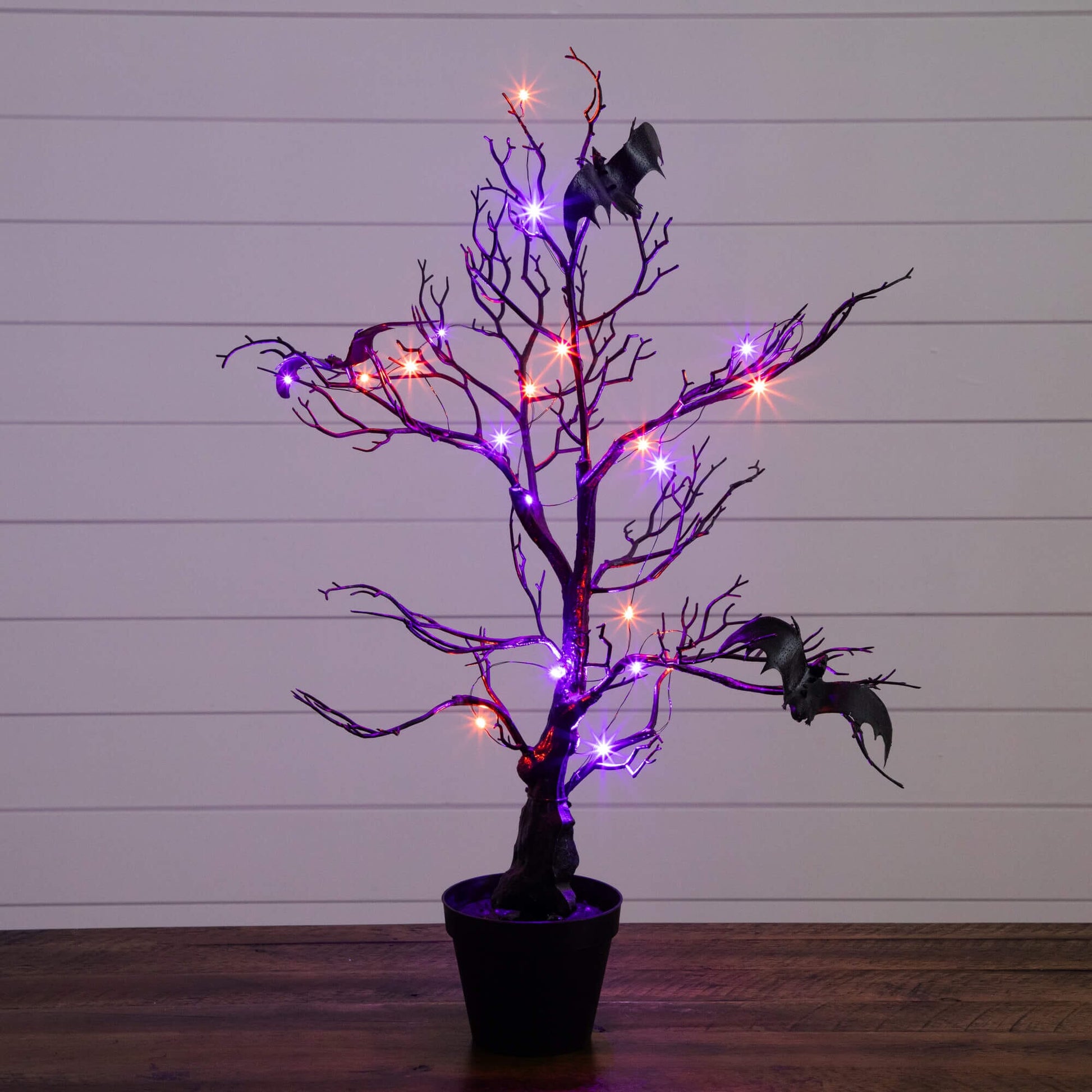 2' Nearly Natural Halloween black spooky twig tree with bats and 40 orange & purple LEDs in a pot on Tampa Home & Garden Store