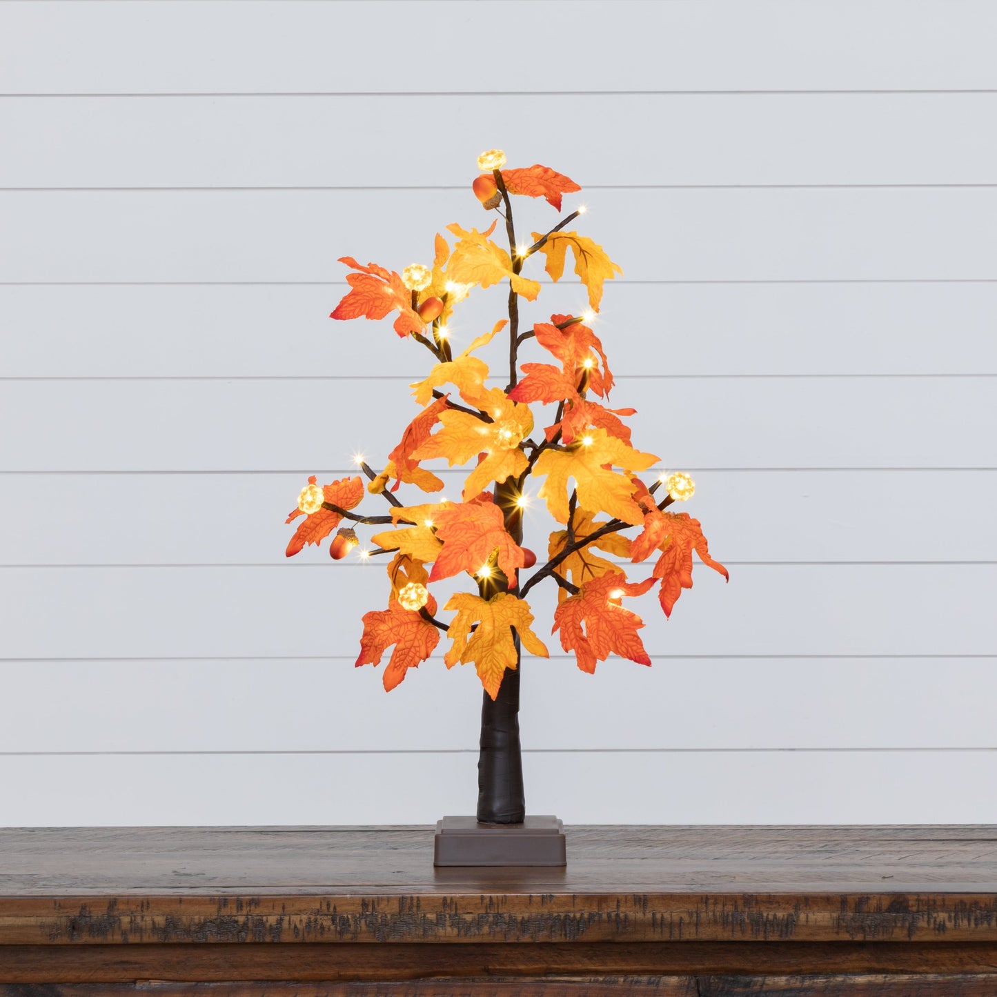 2' Pre-Lit Autumn Maple artificial tree with 24 warm white LED pumpkin lights, orange leaves on Tampa Home & Garden Store
