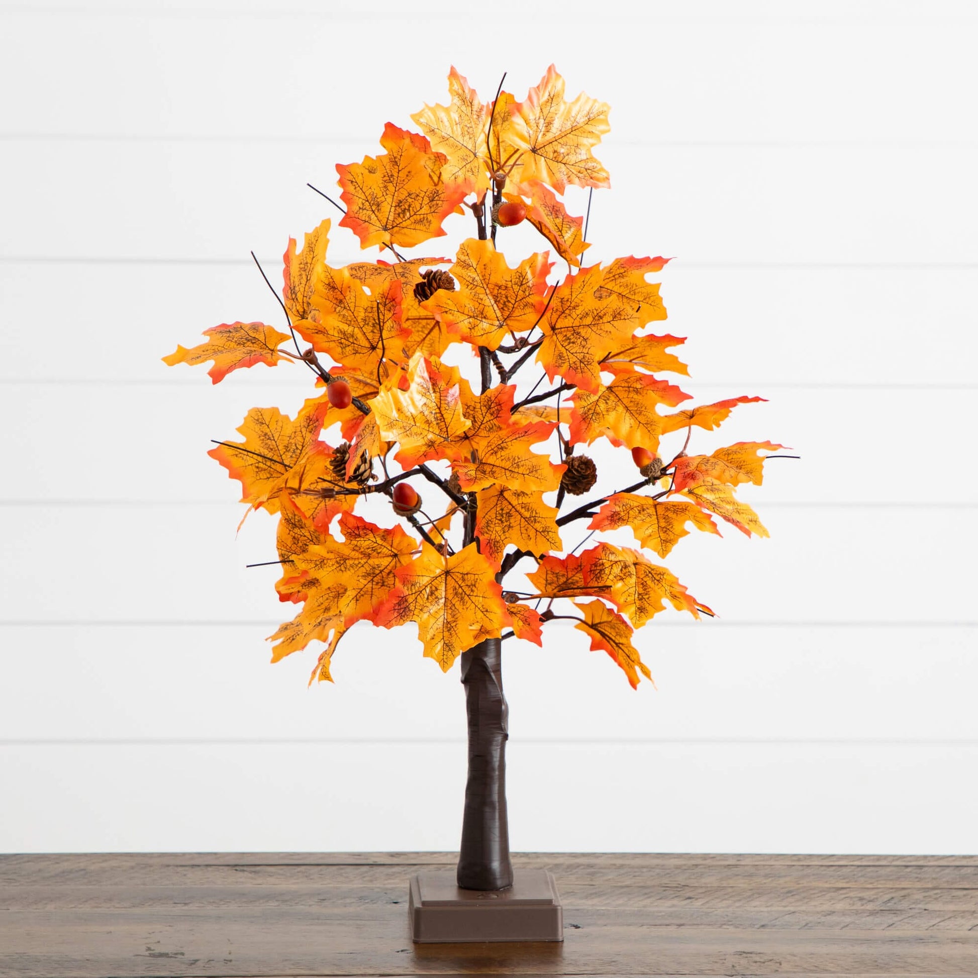 2' Pre-Lit Autumn Maple artificial tree with acorns and pinecones, 18 warm white LEDs on Tampa Home & Garden Store