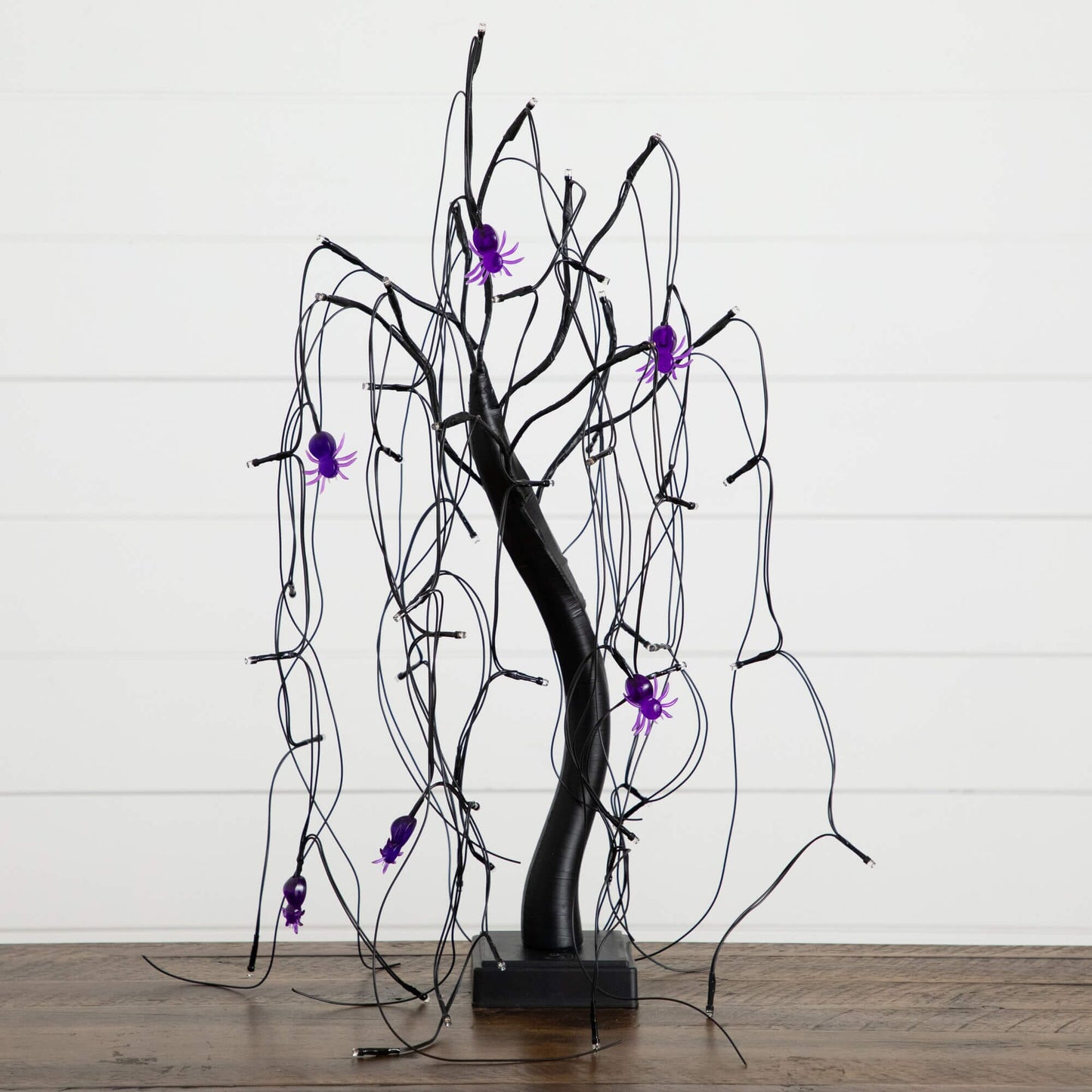 2' Pre-Lit Halloween Spooky Black Spider Willow Tree with 60 orange and purple LEDs on Tampa Home & Garden Store