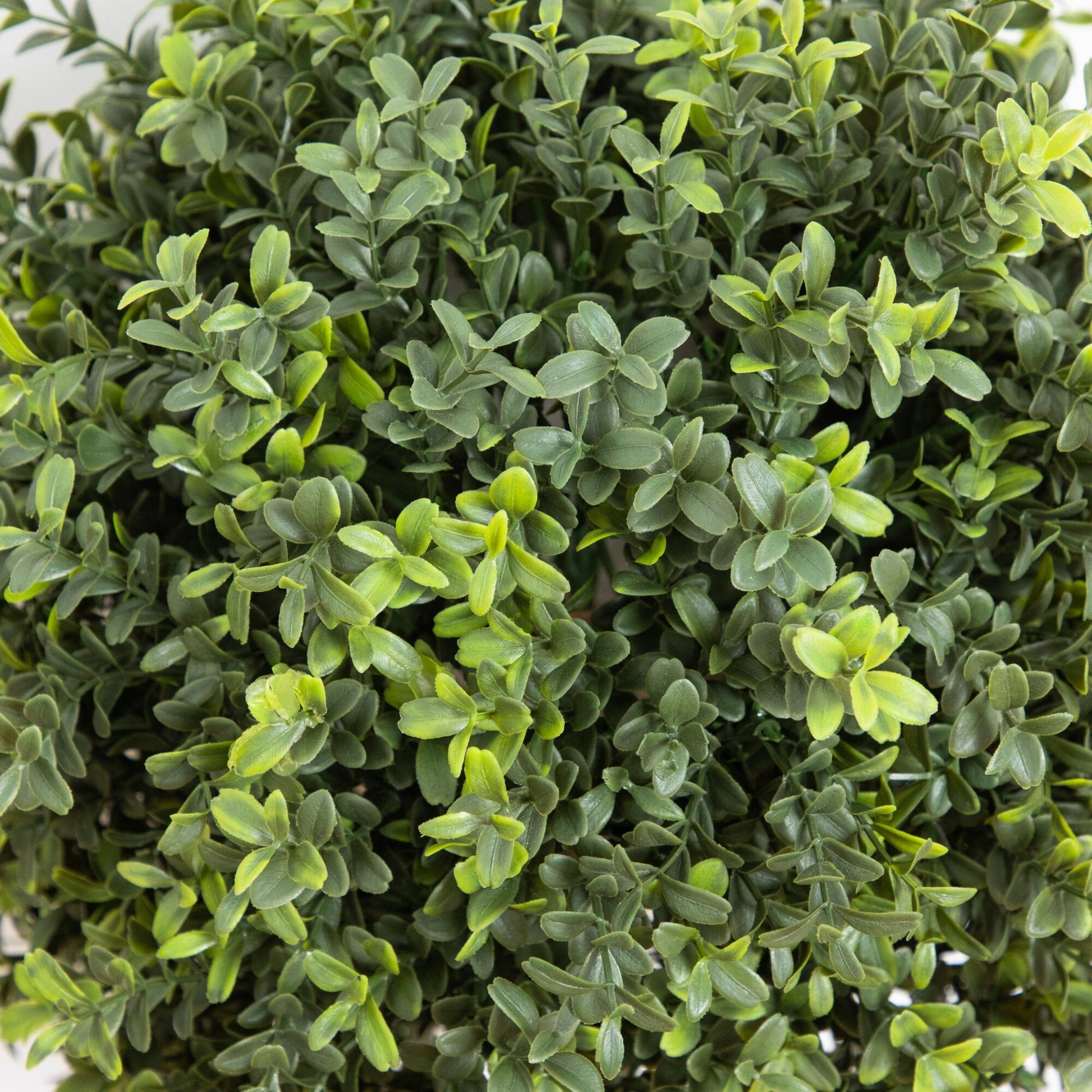 Artificial boxwood topiary 2' tall, UV resistant, set of 2 with integrated ground stake on Tampa Home & Garden Store