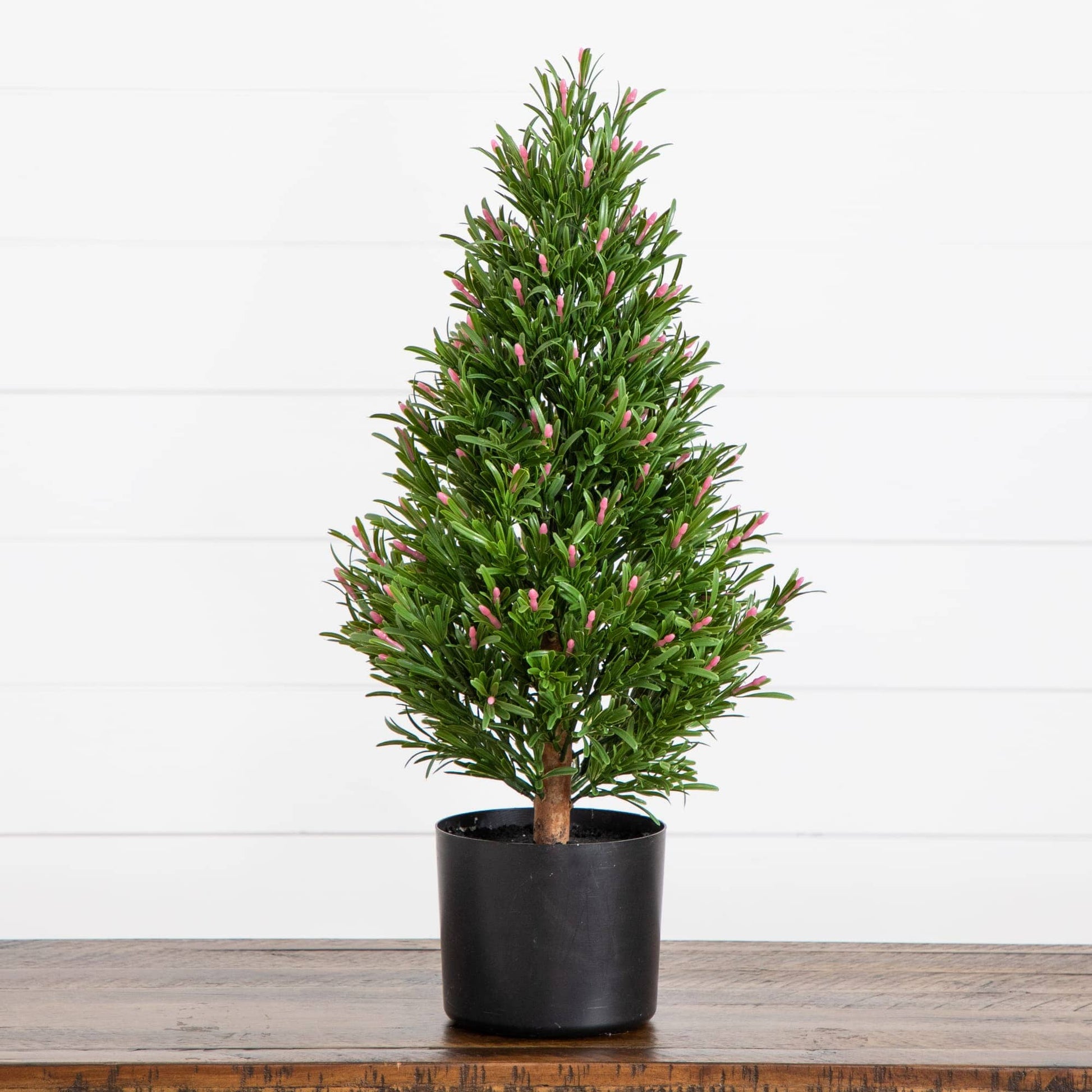 2' UV Resistant artificial rosemary cone topiary tree in black pot by Nearly Natural on Tampa Home & Garden Store