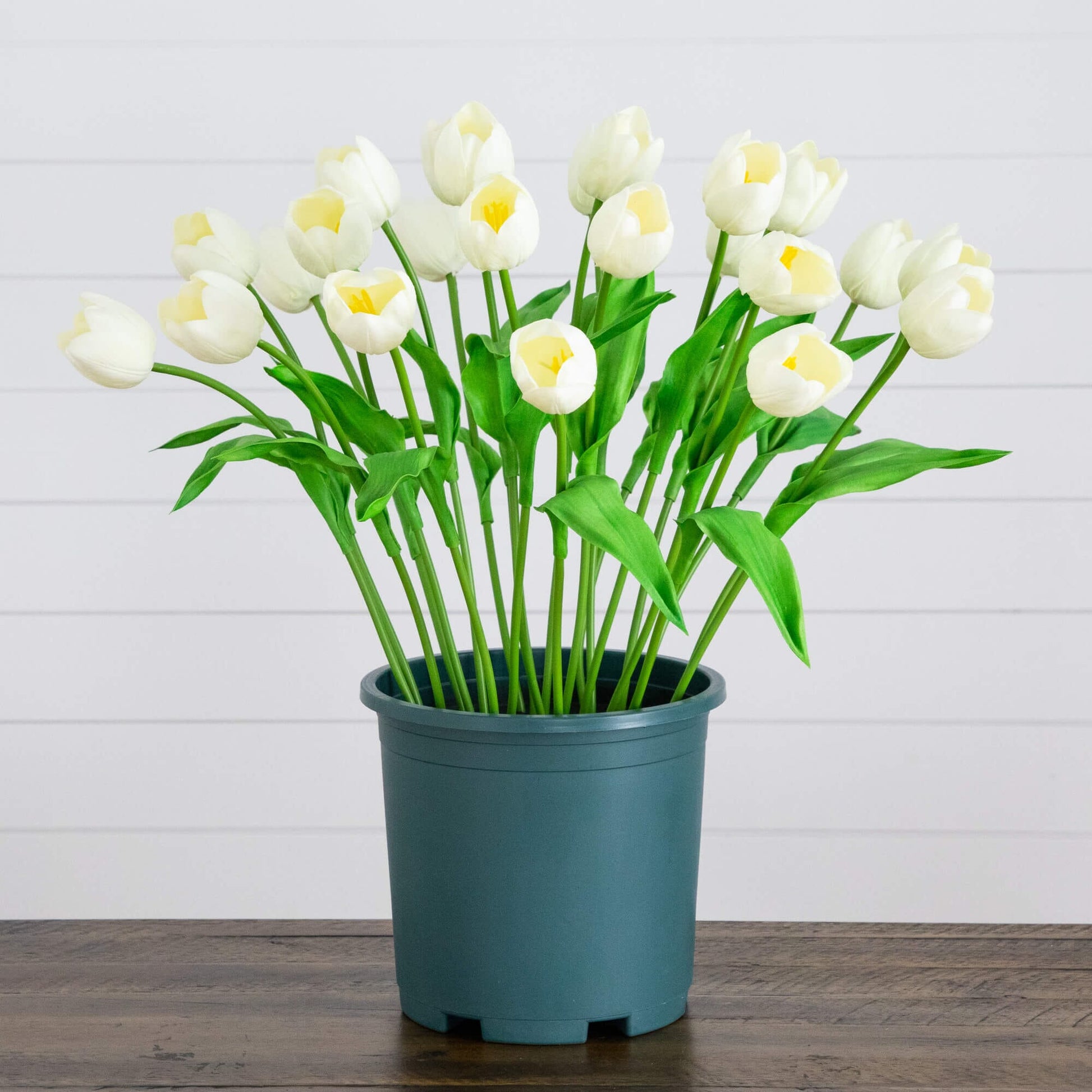 2' UV Resistant Artificial Tulip Plant white yellow tulips in teal pot Nearly Natural on Tampa Home & Garden Store