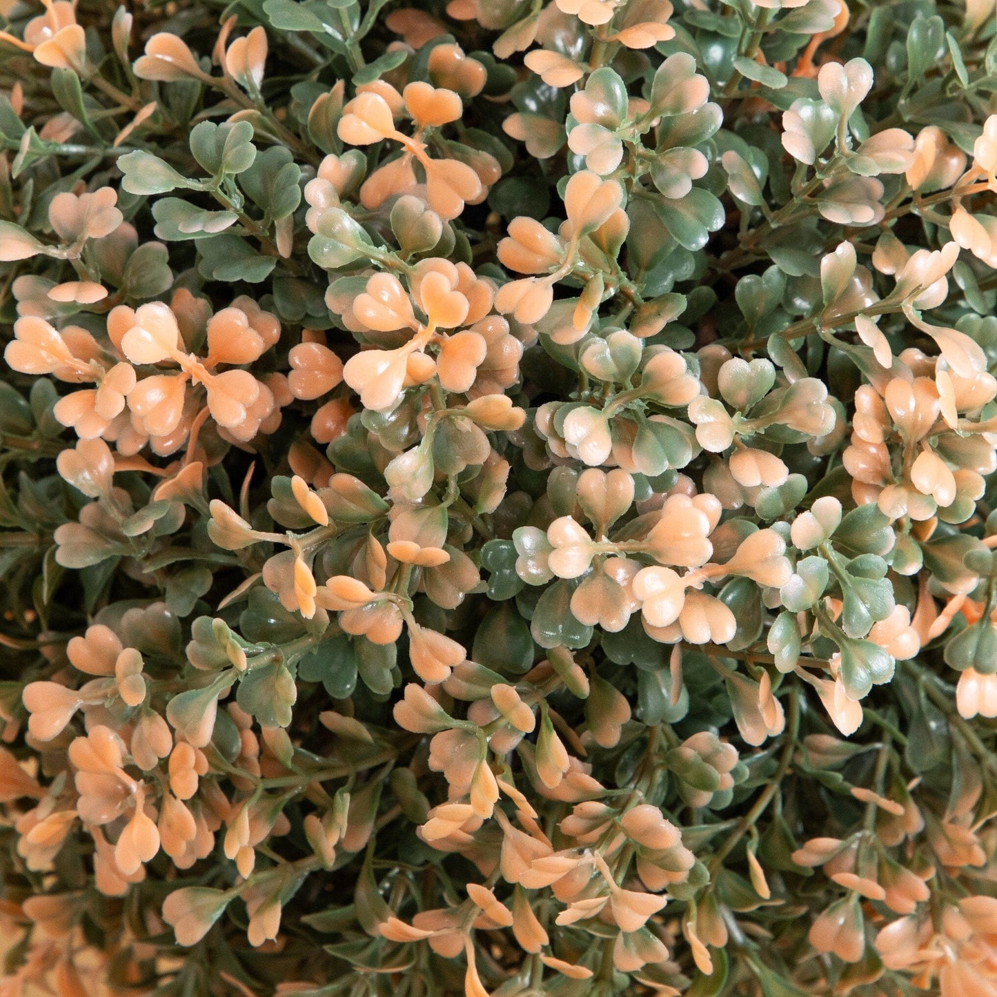 2 ft UV Resistant Autumn Double Ball Boxwood Artificial Topiary close-up peach-green foliage on Tampa Home & Garden Store