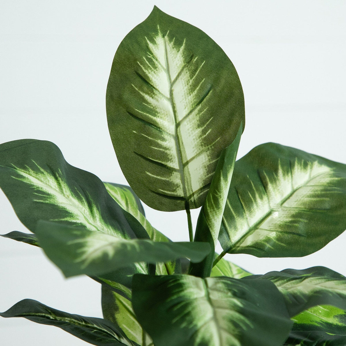 20-inch artificial Golden Dieffenbachia plant set of 6 with green leaves Nearly Natural on Tampa Home & Garden Store