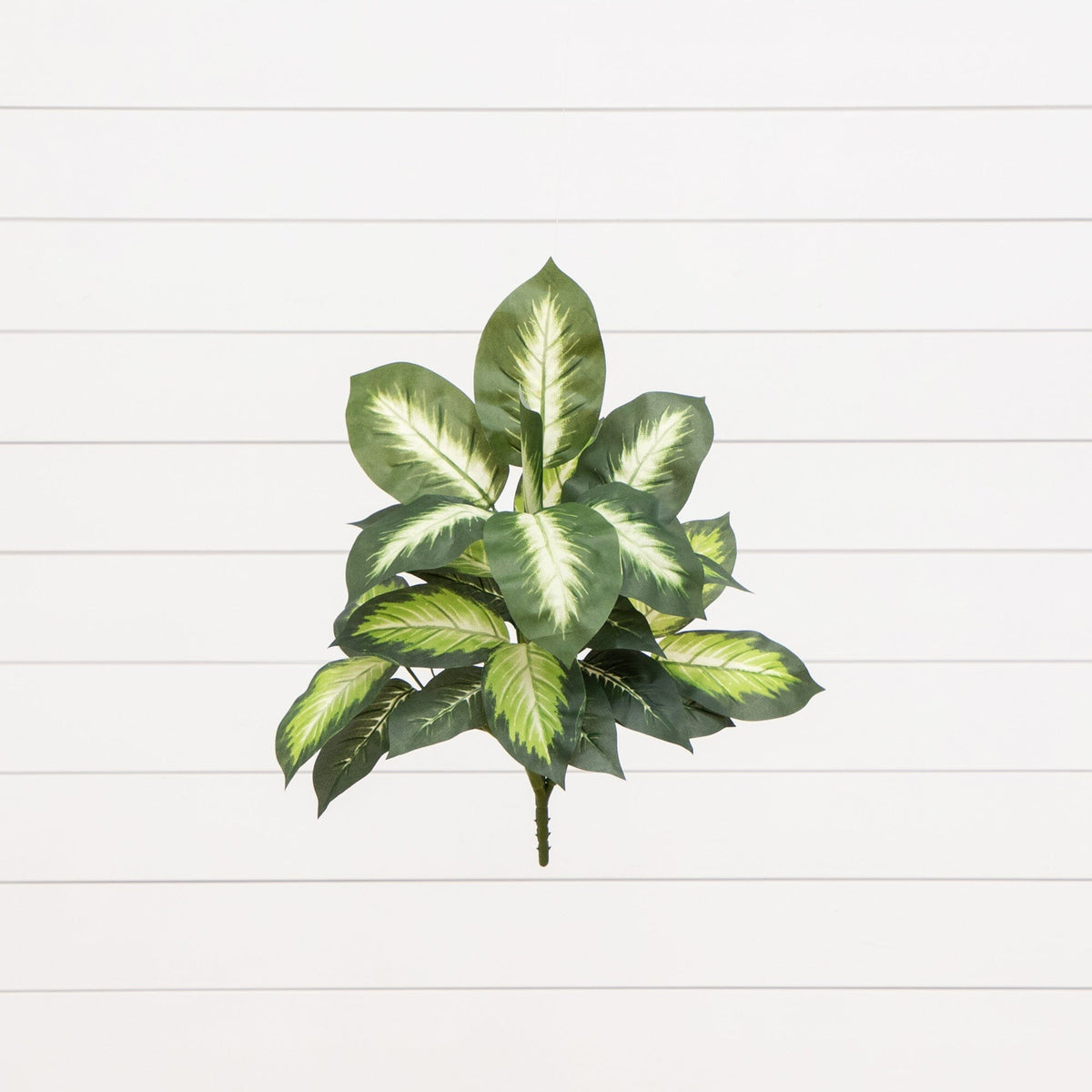 Golden Dieffenbachia plant 20-inch 6-pack by Nearly Natural with variegated green leaves on Tampa Home & Garden Store