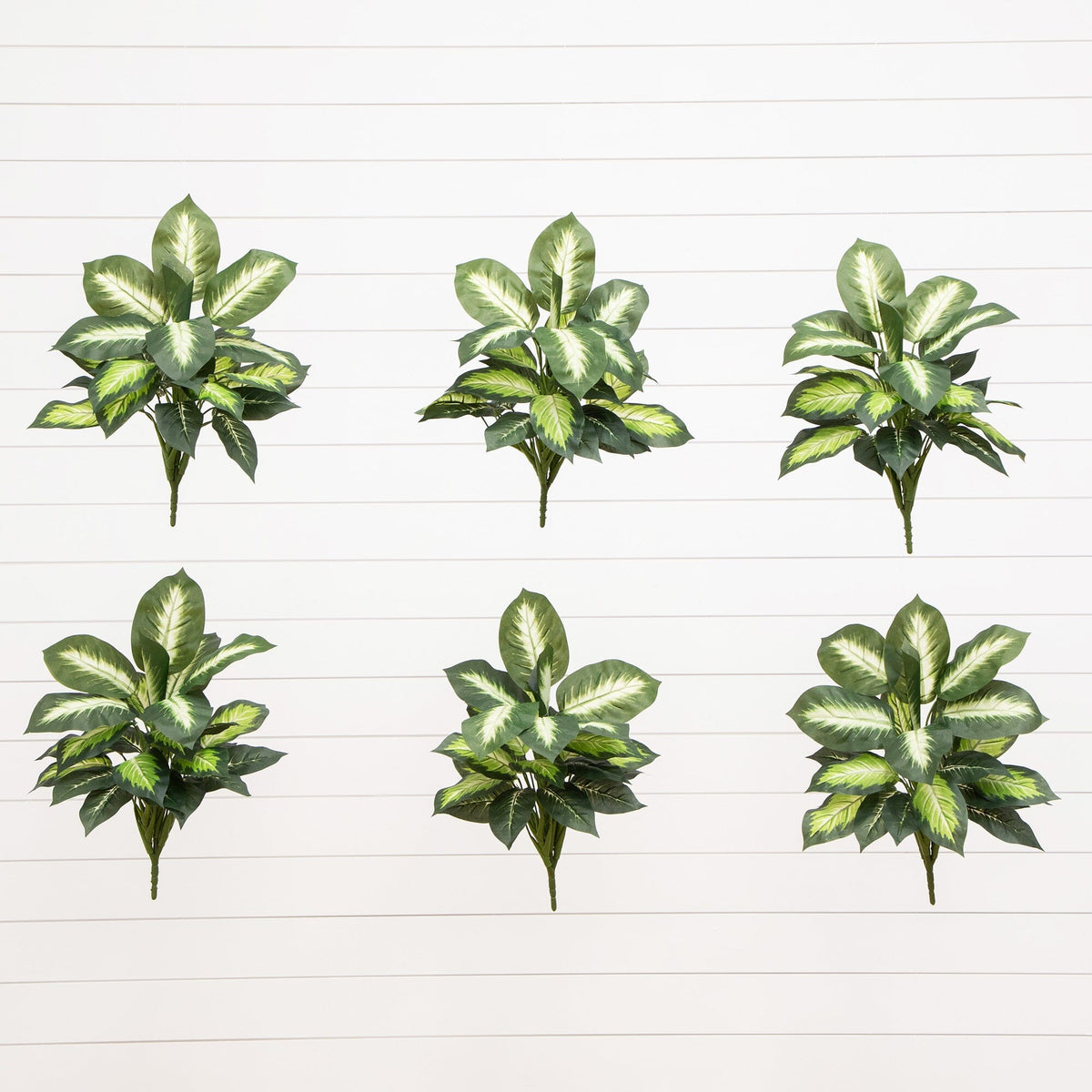 Dieffenbachia plant set of 6, artificial with variegated green leaves by Nearly Natural on Tampa Home & Garden Store
