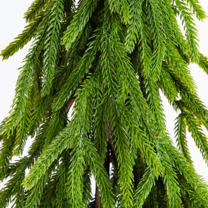 20-inch Nearly Natural artificial Norfolk Island Pine with down-swept green needles on Tampa Home & Garden Store