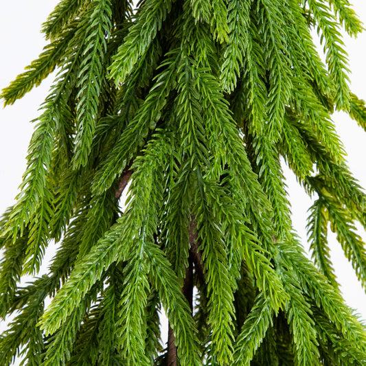20-inch Nearly Natural artificial Norfolk Island Pine with down-swept green needles on Tampa Home & Garden Store
