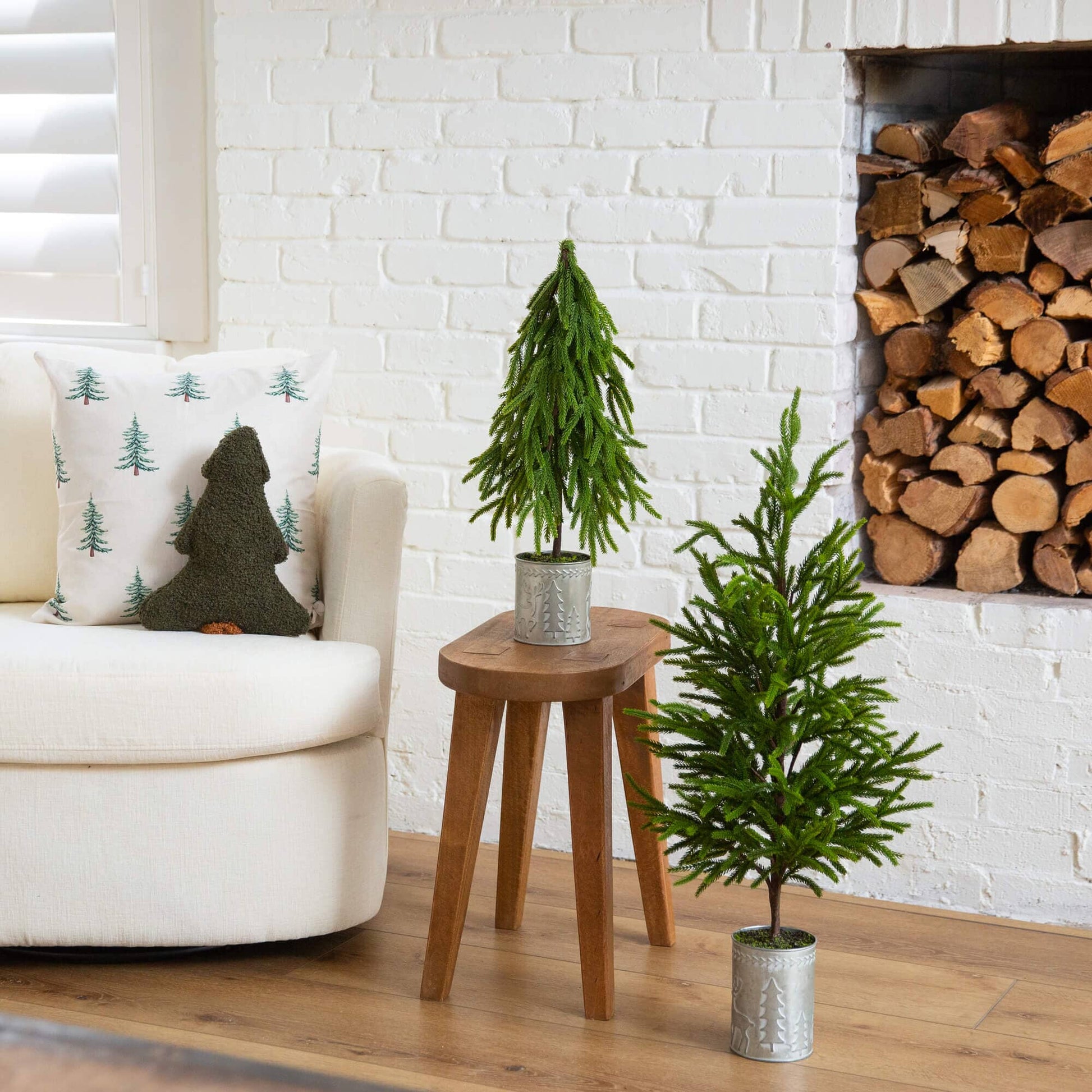 20in Norfolk Island pine in a Christmas tin metal planter with natural look by Nearly Natural on Tampa Home & Garden Store