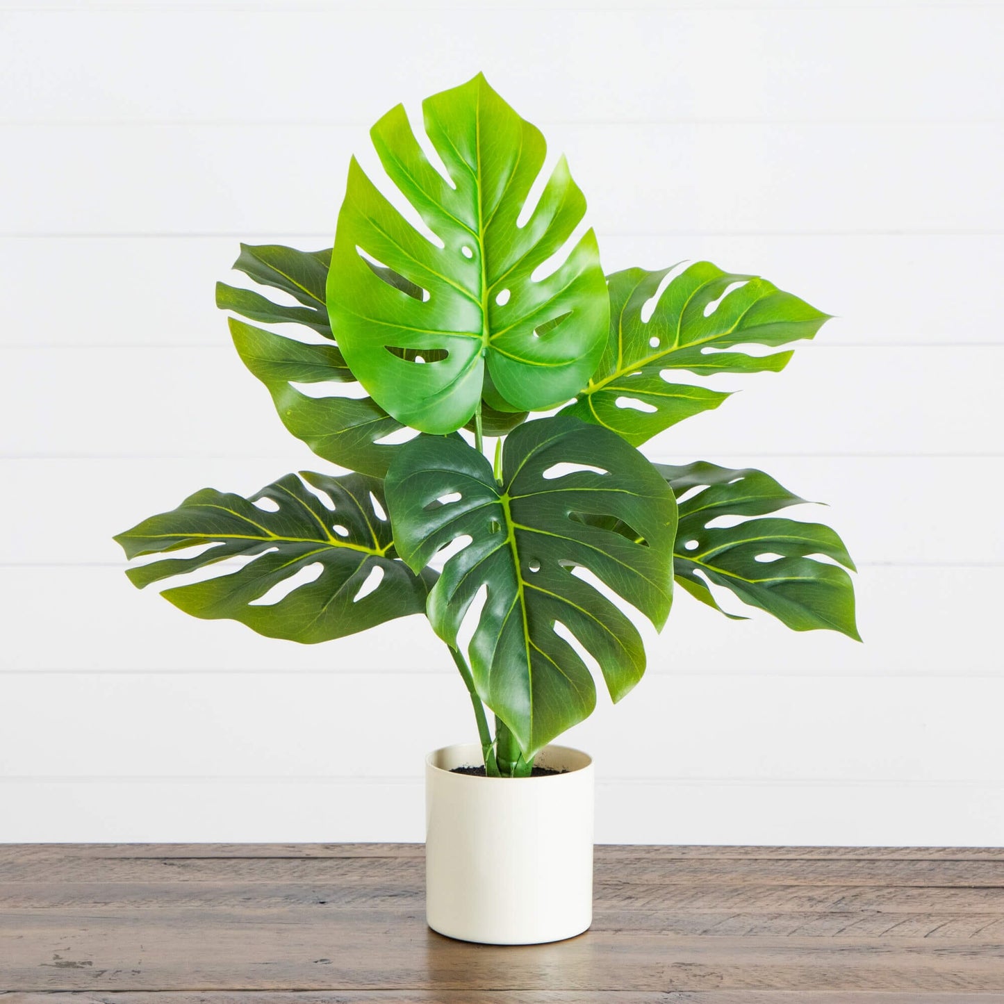 20in Nearly Natural Swiss Monstera plant in white planter with glossy fenestrated green leaves on Tampa Home & Garden Store