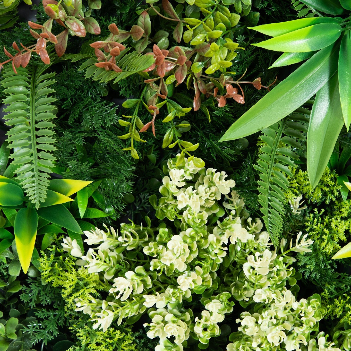 The Gold and Queensland Rainforest Wall Panels