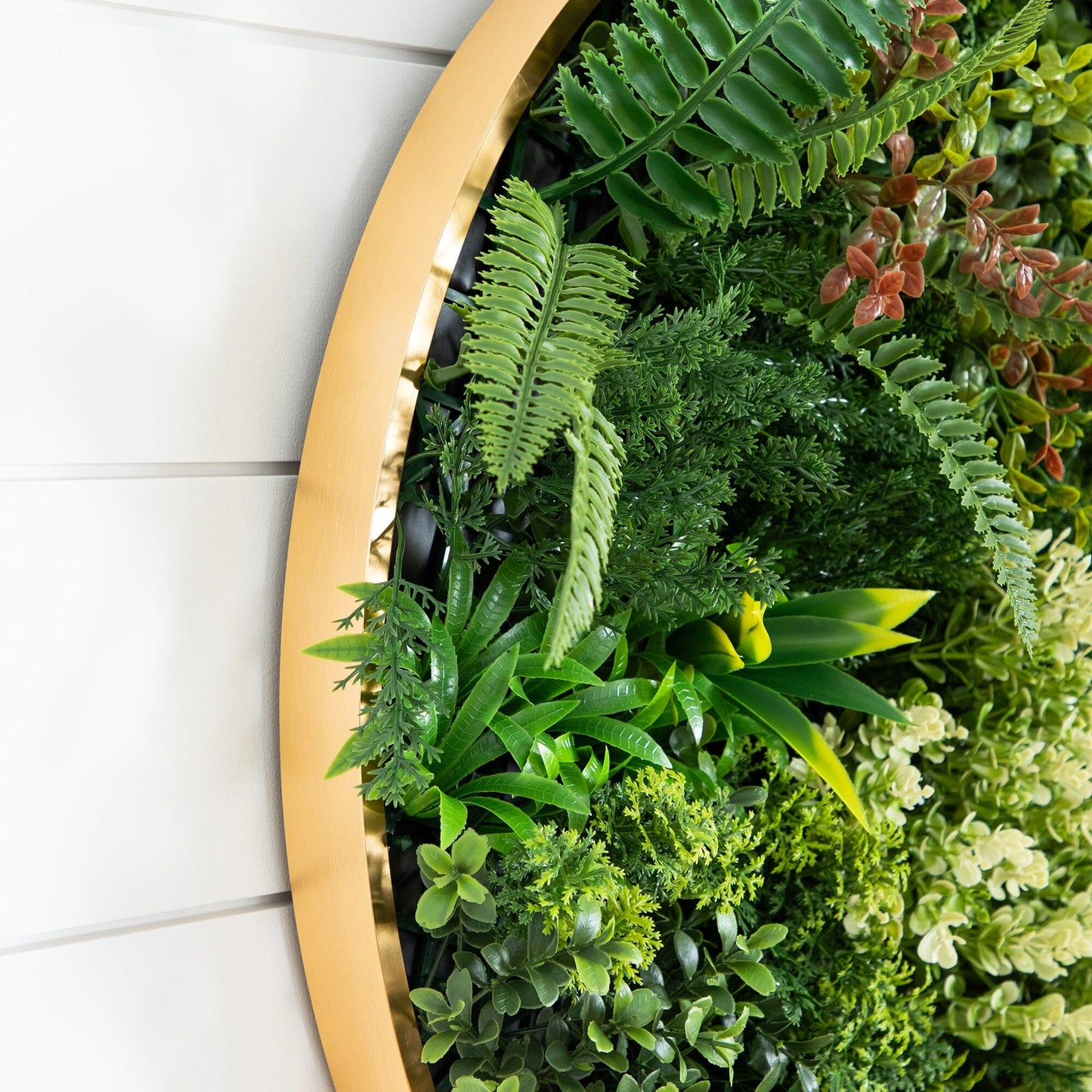 The Gold and Queensland Rainforest Wall Panels