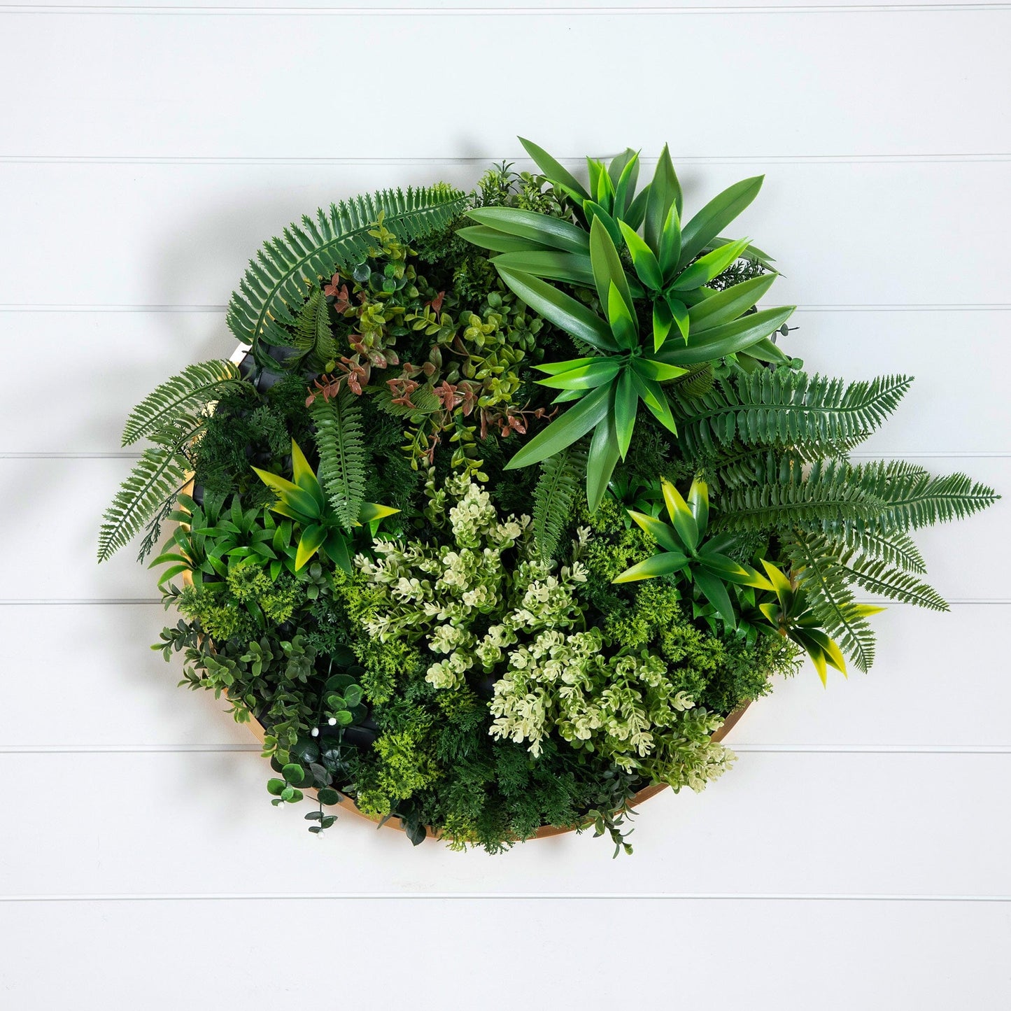 The Gold and Queensland Rainforest Wall Panels
