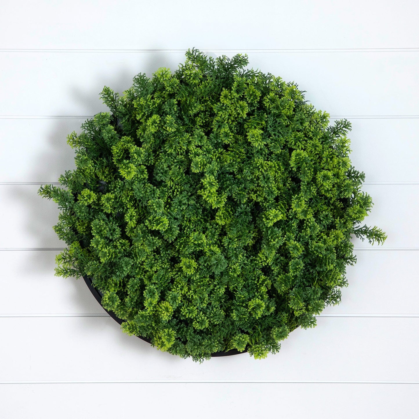 Irish Green Meadow and Artificial Wall Panel