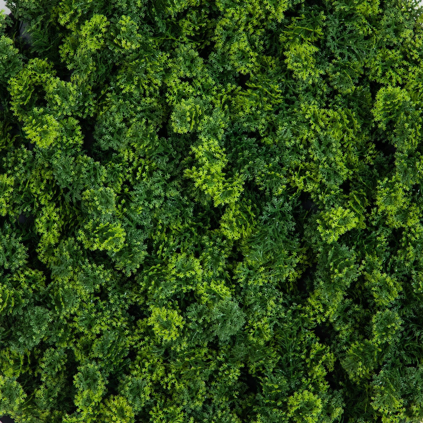 Irish Green Meadow and Artificial Wall Panel