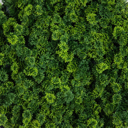 Irish Green Meadow and Artificial Wall Panel