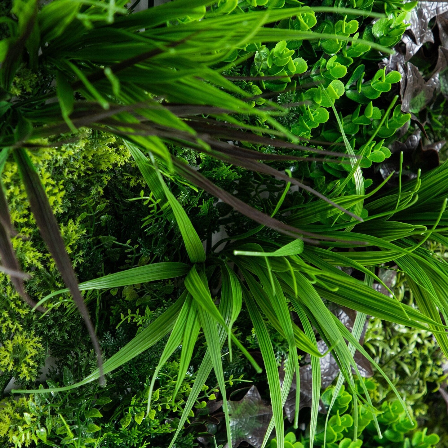 UV Resistant Borneo Jungle Living Wall Panel