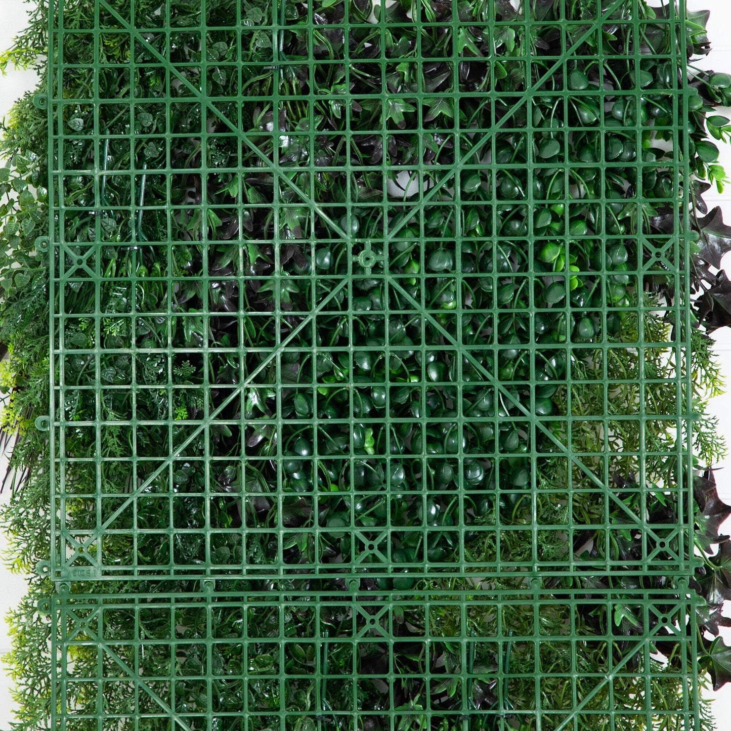 UV Resistant Borneo Jungle Living Wall Panel