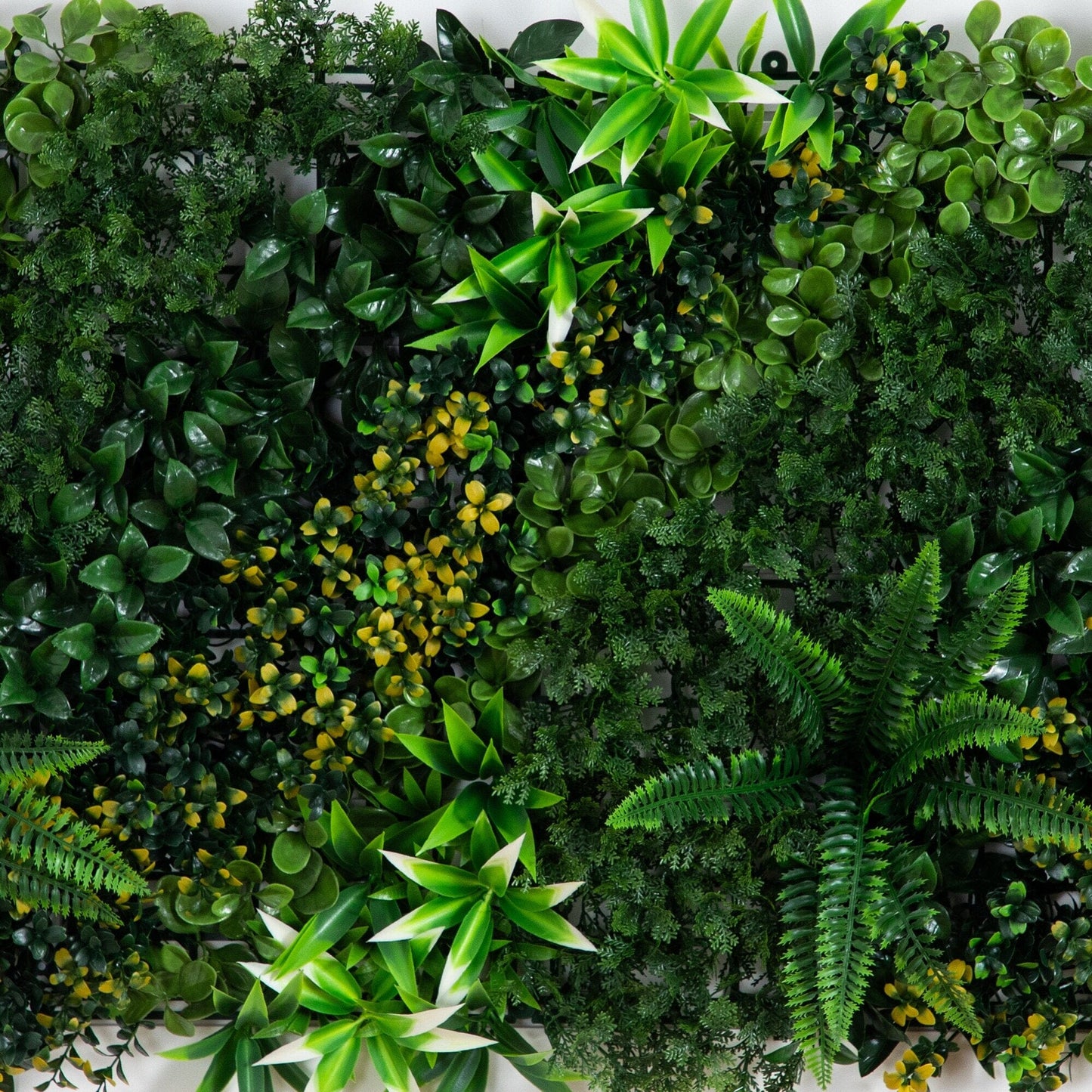 20X40 UV Resistant and Hawaiian Plant Wall Panel