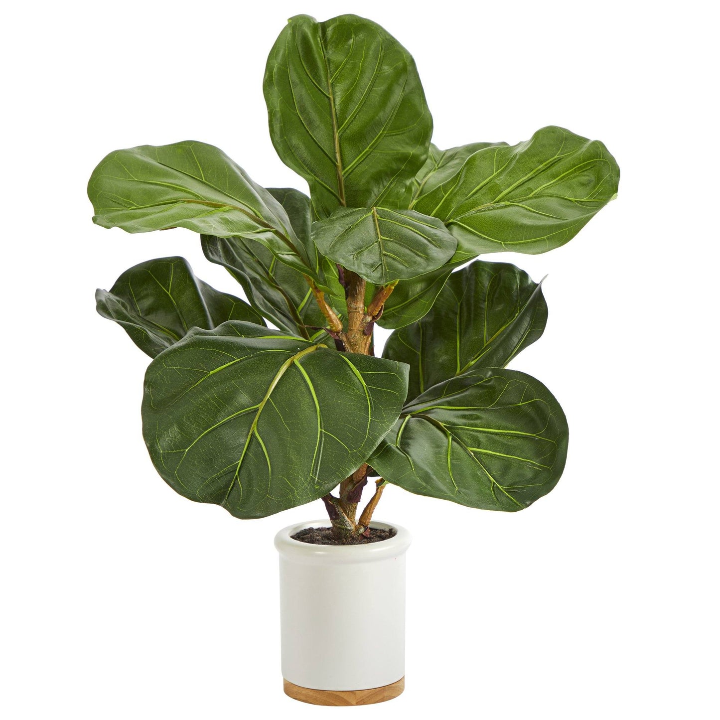 21” Fiddle Leaf Artificial Plant in White Ceramic Planter