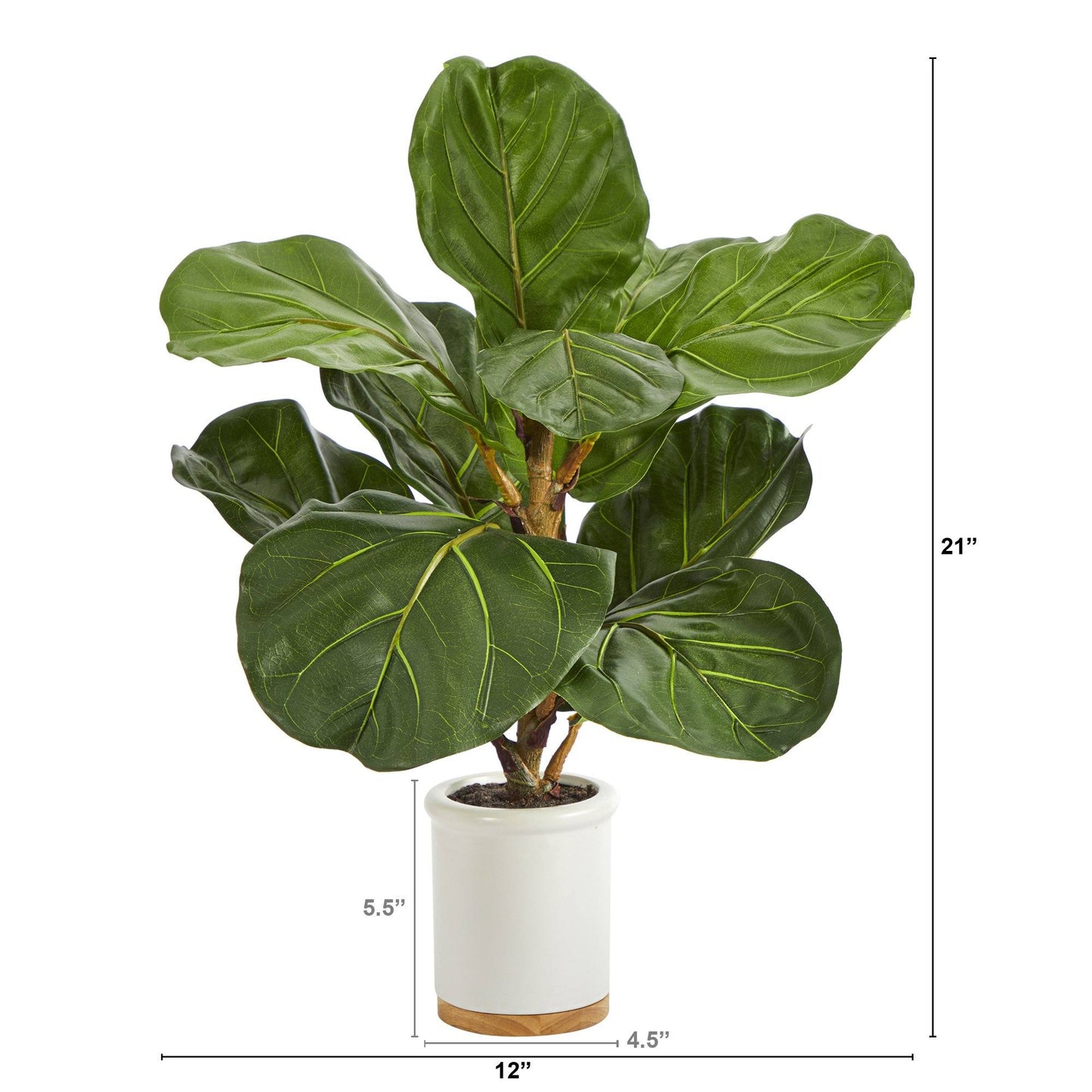 21” Fiddle Leaf Artificial Plant in White Ceramic Planter