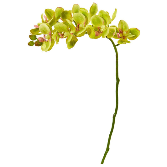 21” Artificial Phalaenopsis Orchid Flower (Set of 6) - Tampa Home & Garden Store