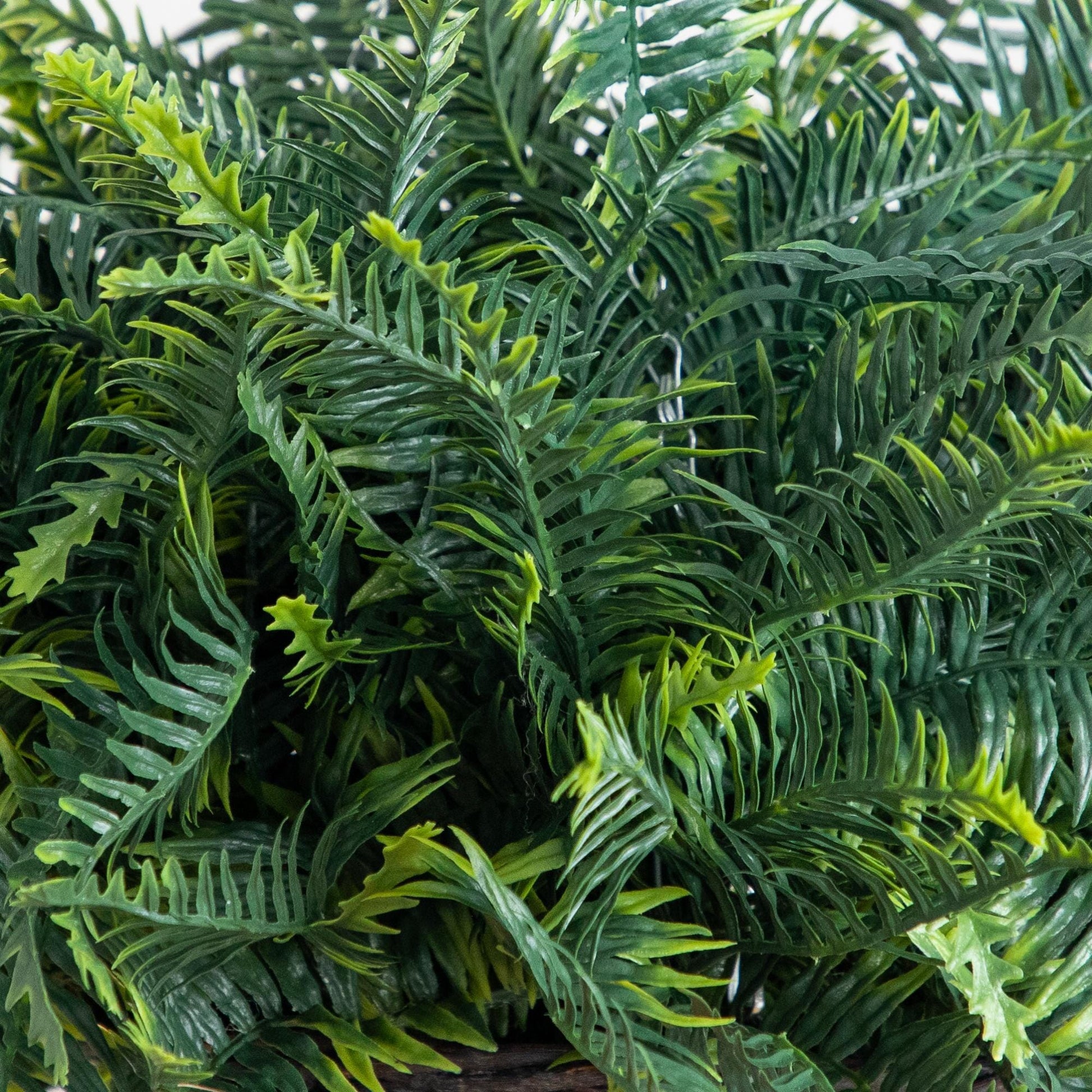 21-inch UV-resistant artificial fern hanging basket set of 2, Nearly Natural green fronds on Tampa Home & Garden Store