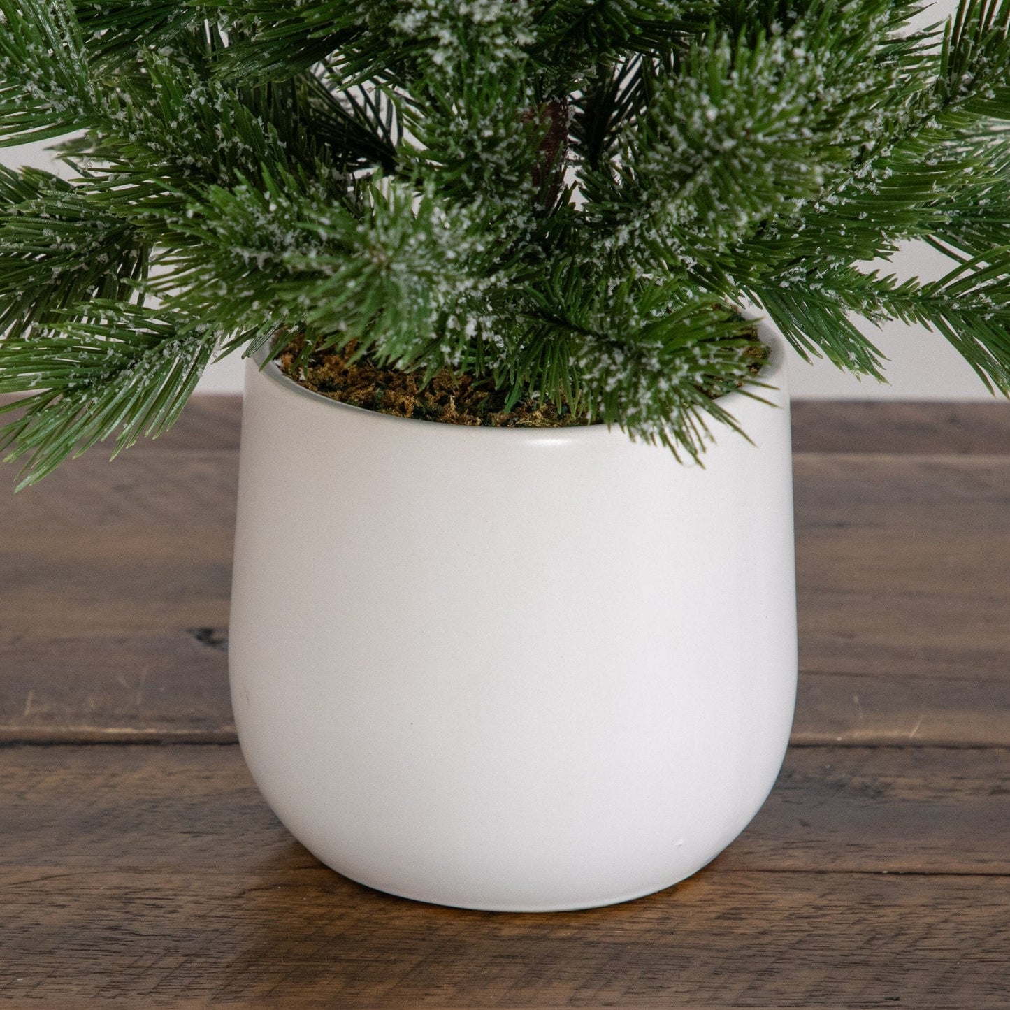 22-inch artificial frosted Christmas tree in a white ceramic planter with snow-dusted green needles on Tampa Home & Garden Store