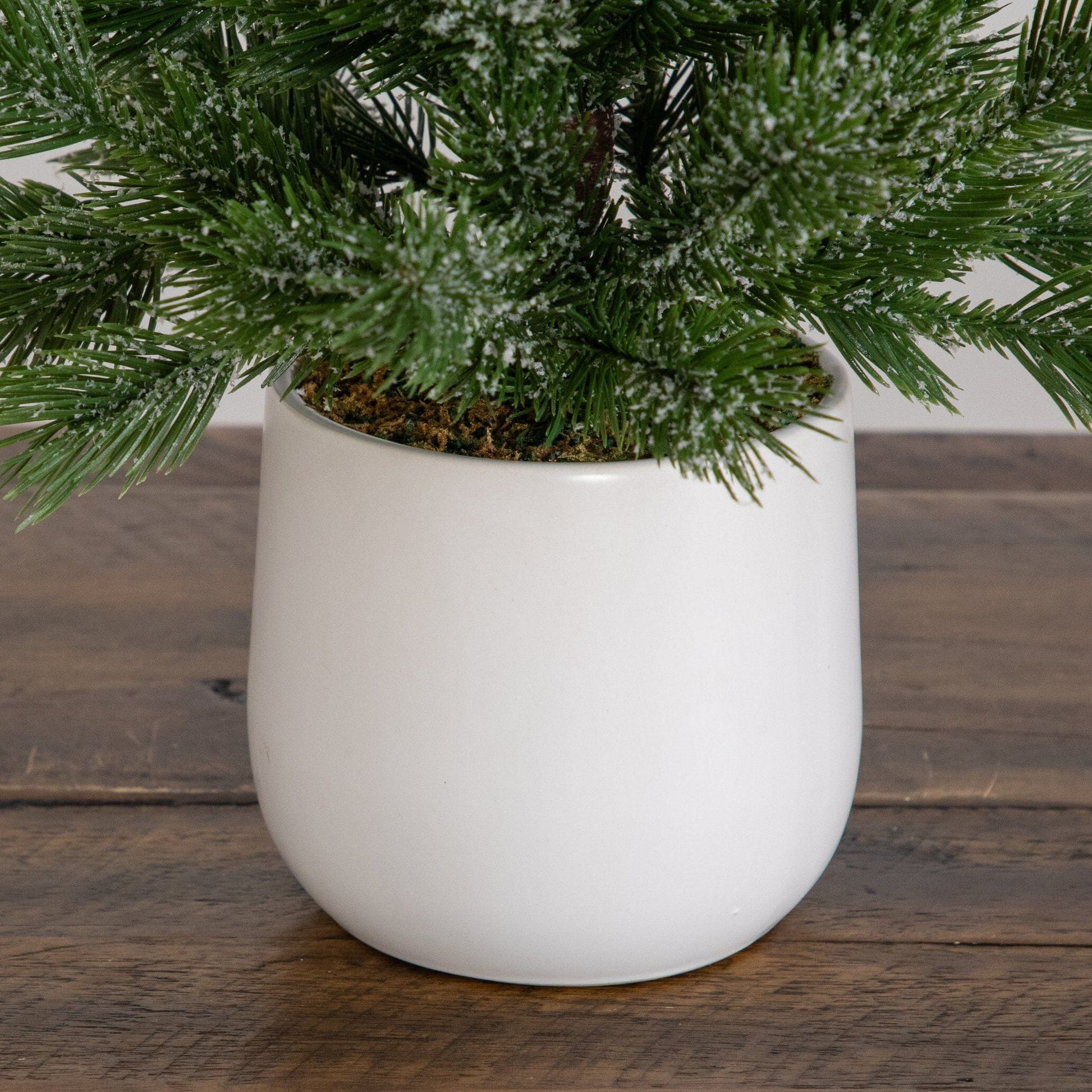 22-inch artificial frosted Christmas tree in a white ceramic planter with snow-dusted green needles on Tampa Home & Garden Store