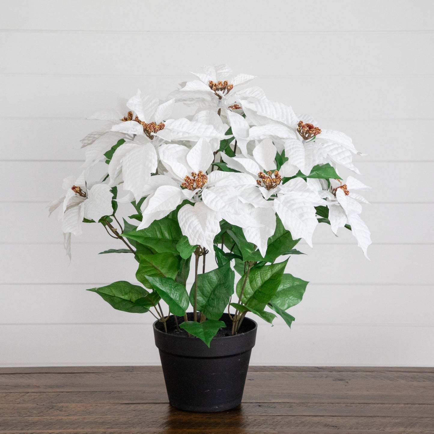 22in artificial poinsettia plant in planter with white bracts, green leaves by Nearly Natural on Tampa Home & Garden Store