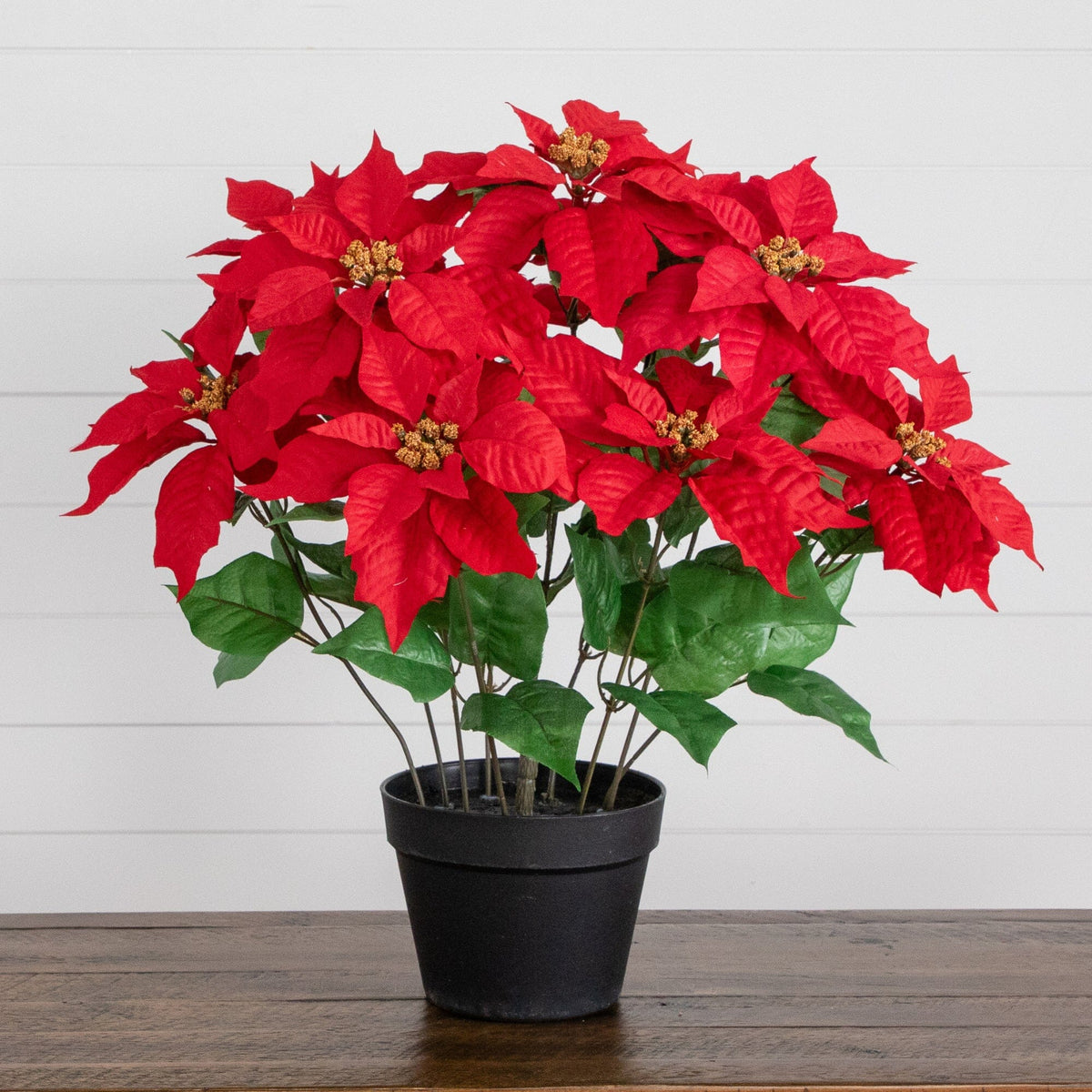 22in artificial poinsettia plant in planter with red bracts and green leaves on Tampa Home & Garden Store