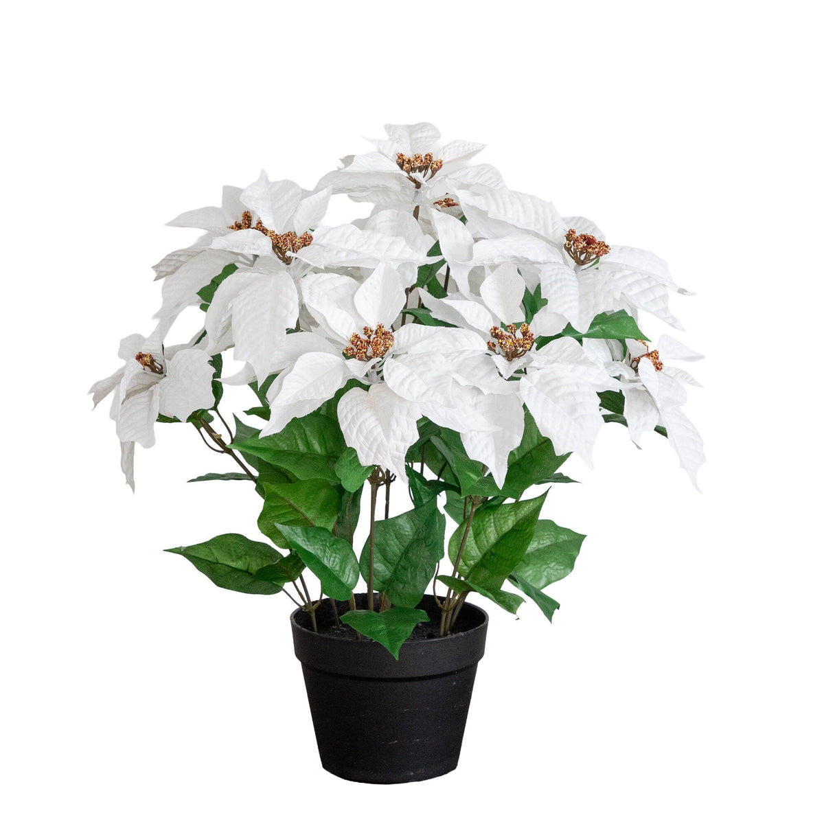 22in artificial poinsettia plant in black planter with white bracts and green leaves on Tampa Home & Garden Store